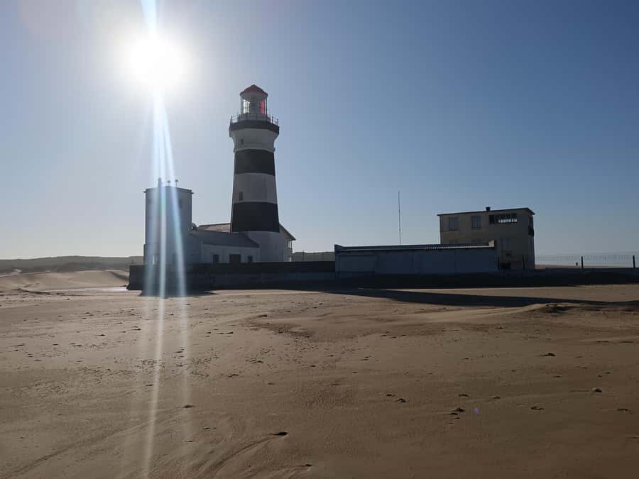 Addo Elephant National Park and Coastal Tour Combo - Cape Receife Lighthouse and the penguin center