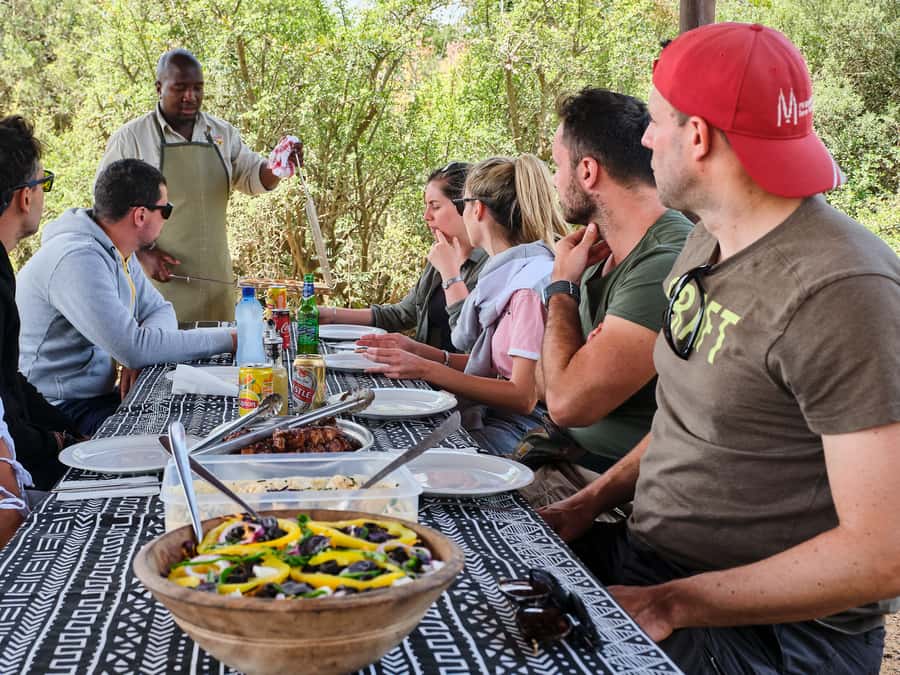 Addo Elephant National Park: Full-Day Safari Tour with Lunch - Guides, group size, and the feel of the day