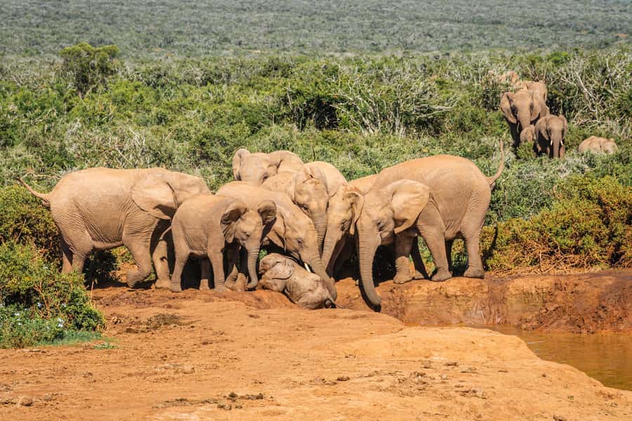 Addo Elephant National Park Full Day Safari with Braai Lunch - The coffee stop above Addo’s marine section
