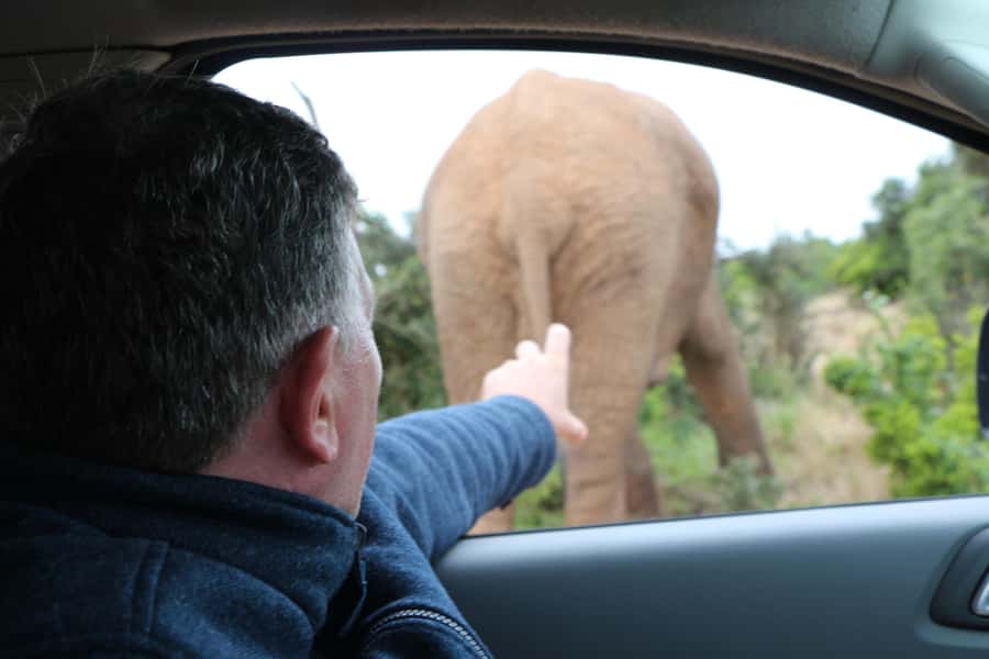 Addo Elephant National Park Game Drive Day Tour With Lunch - Who should book this Addo day tour?