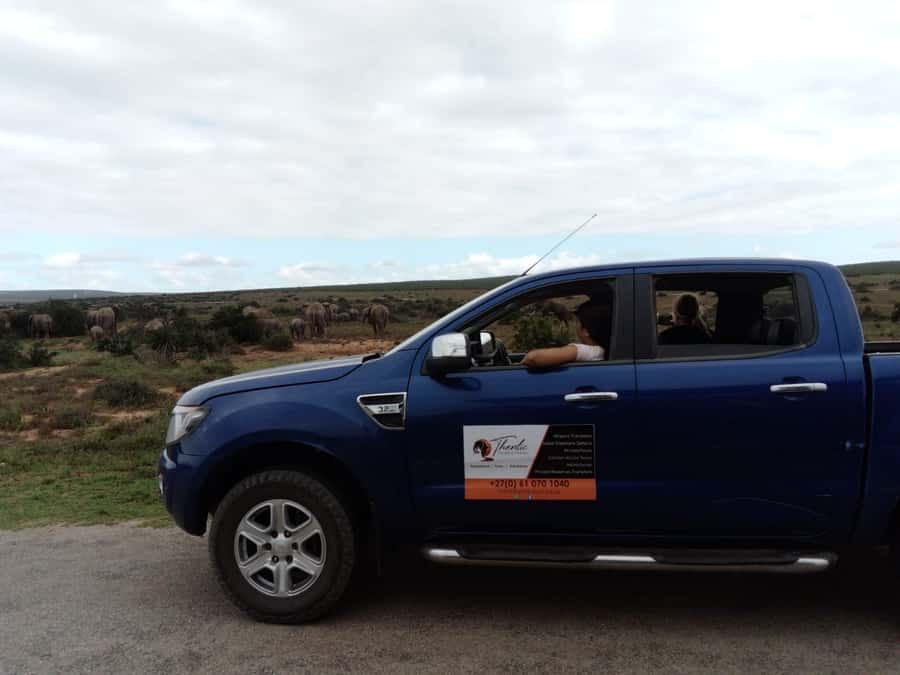 Addo Elephant National Park Game Drive Day Tour With Lunch - Morning pickup from Port Elizabeth and beyond