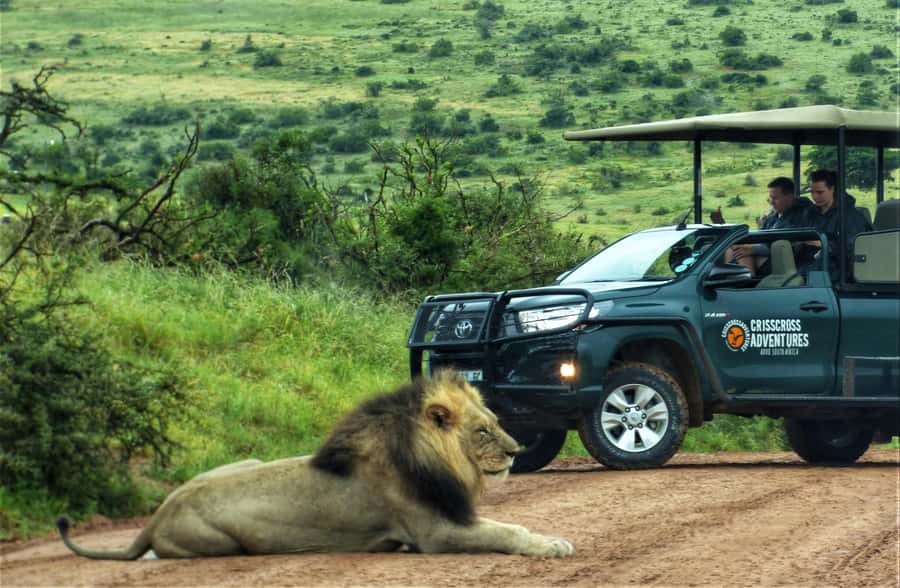 Addo Elephant National Park: Guided Half-Day Safari - Leaving Chrislin African Lodge at 8:30