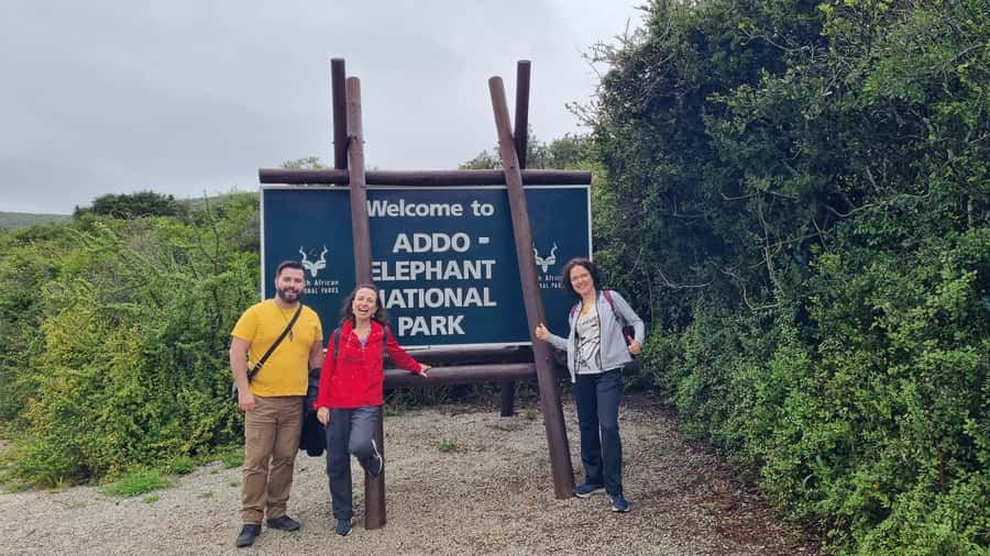 Addo Elephant National Park Private Full-Day Safari - Key points to know before you book