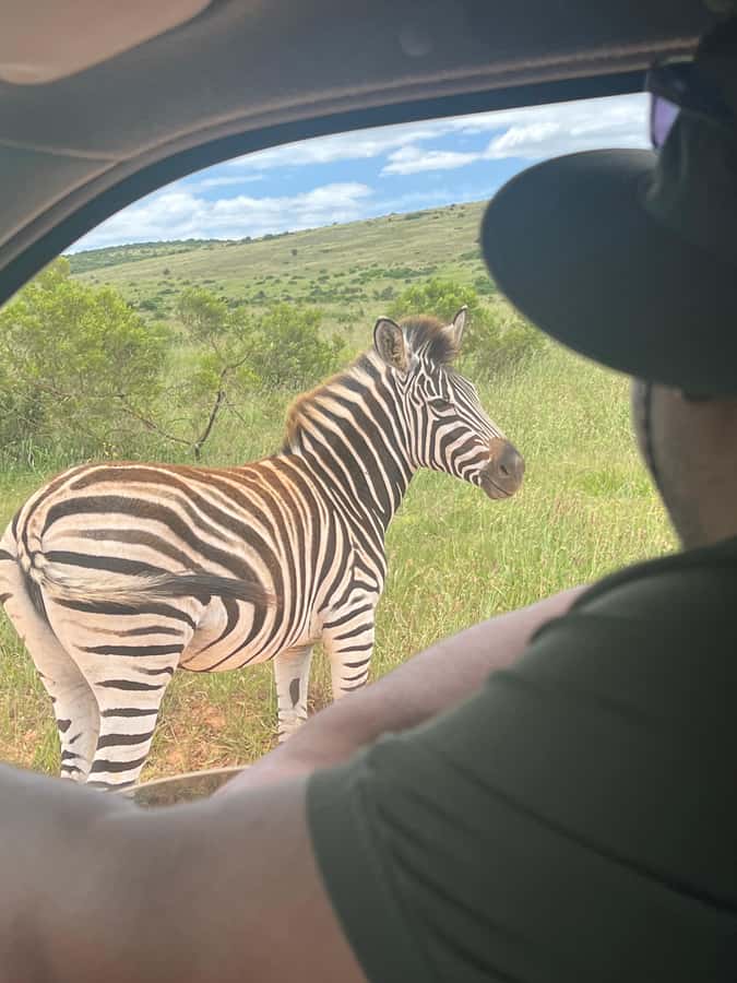 ADDO ELEPHANT PARK - Who should choose this Addo safari
