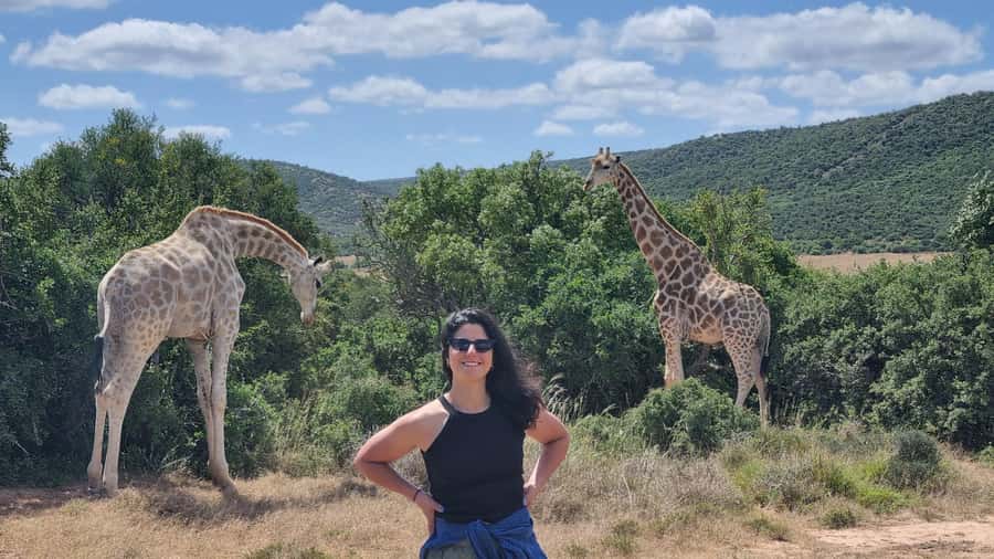 Addo Elephant Park and Giraffe Walk Full Day Safari - Six hours among Addos elephants