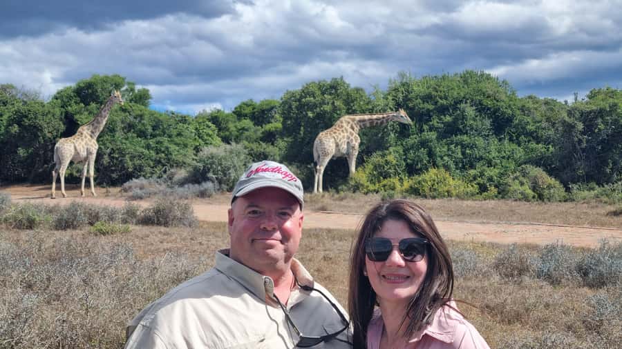 Addo Elephant Park and Giraffe Walk Private Full Day Safari - Key points at a glance