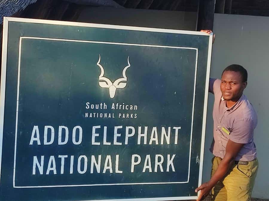 Addo Elephant Park Tours. Full Day - Reaching Addo from Port Elizabeth