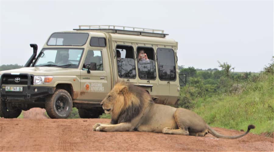 Addo National Park: Guided Half-Day Safari - Other animals and the luck factor