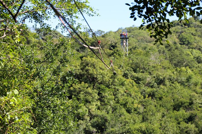 Aerial Cable Trail in Hazyview - Who will enjoy the two-and-a-half-hour outing
