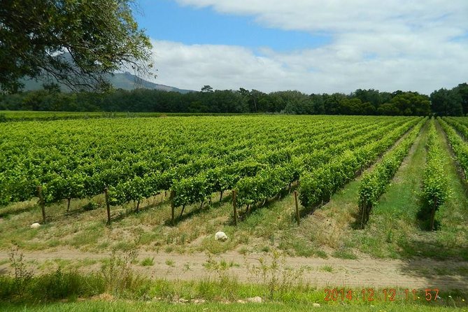 African Story Wine Tours in the Cape Winelands - Lunch at Le Pommier or Another Local Restaurant