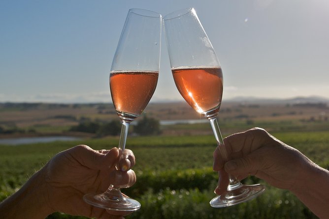 African Story Wine Tours in the Cape Winelands - Small Drawbacks to Consider Before Booking