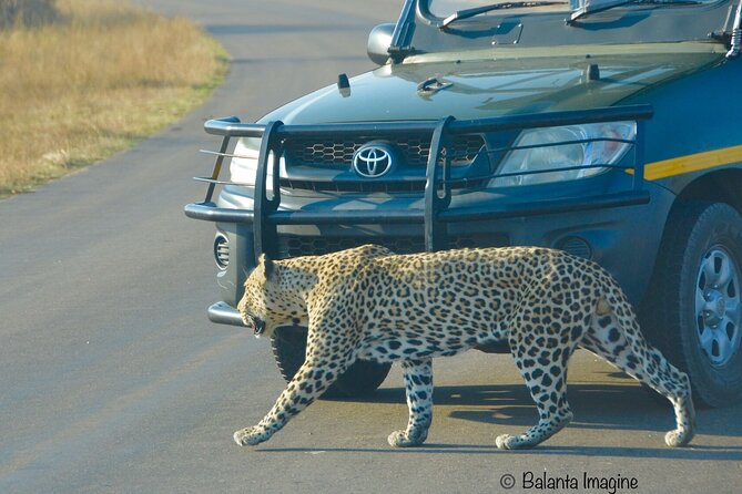 All Inclusive 3 Day Kruger Safari Adventure From Johannesburg - Guides make the biggest difference