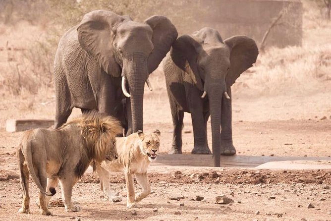 All Inclusive 3 Day Kruger Safari Adventure From Johannesburg - Weather, vehicles, and comfort on safari