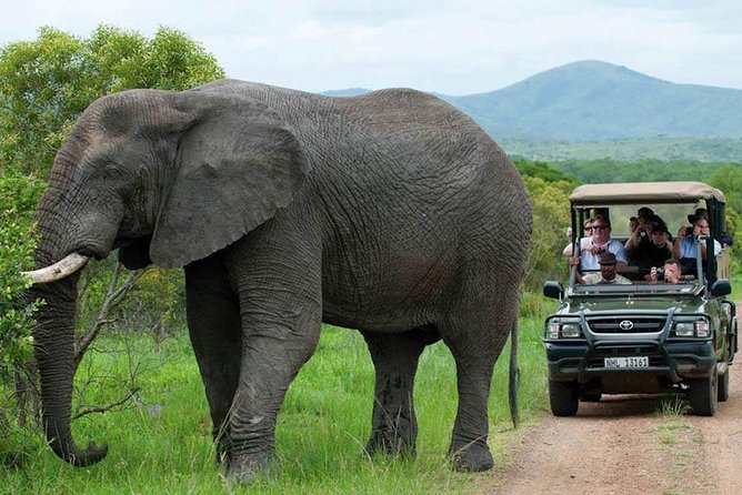 All Inclusive 3 Day Kruger Safari Adventure From Johannesburg - Day three: one last look before the long road home
