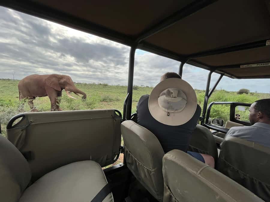 All Inclusive 3 Day Kruger Safari from Nelspruit - Key points to know before booking
