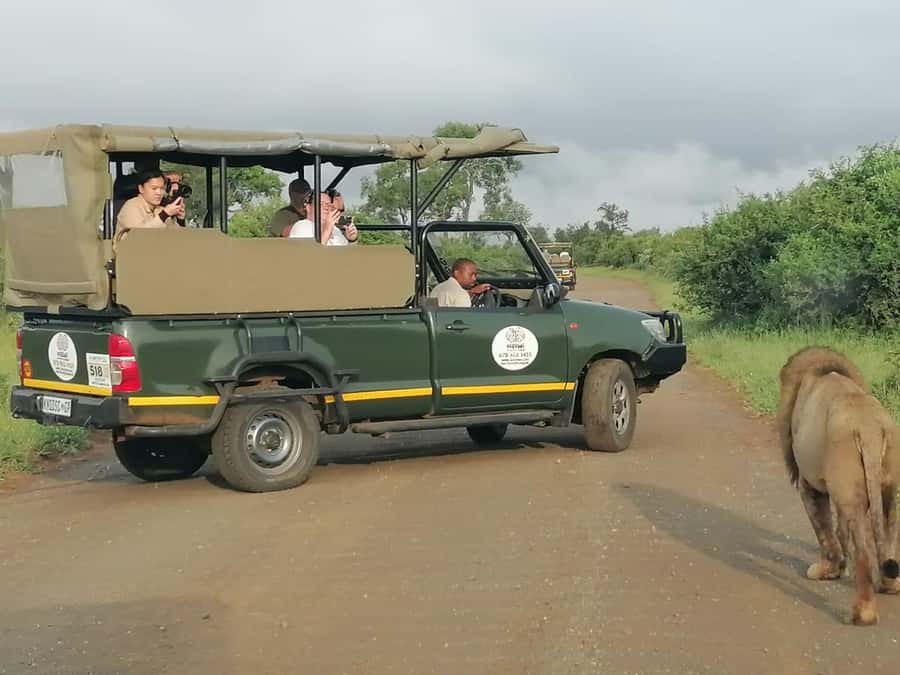 All Inclusive 3 Day Kruger Safari from Nelspruit - Three drives in Southern Kruger