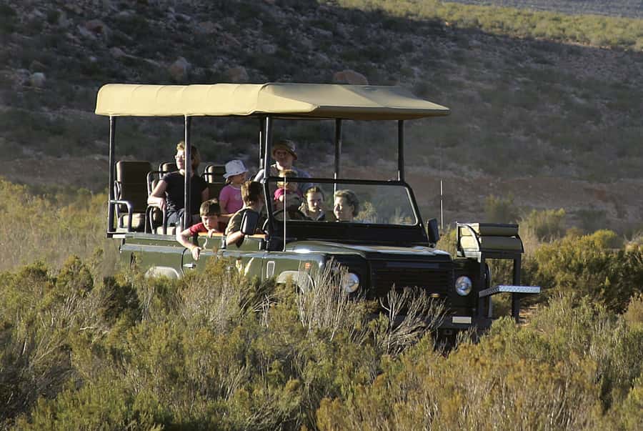 Aquila Reserve: Private Day Tour with Shared Game Drive - Key points to know before booking