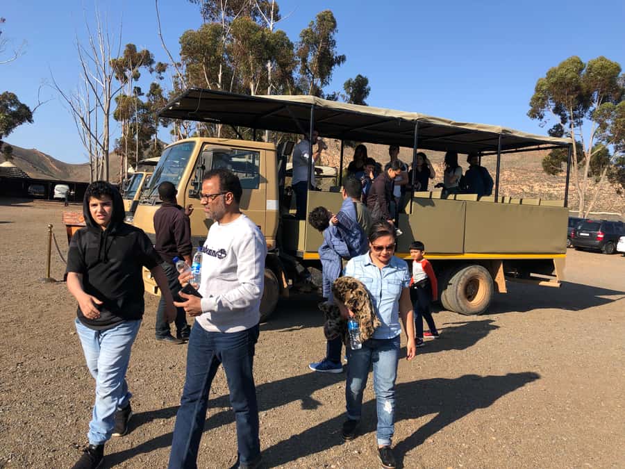 Aquila Reserve: Private Day Tour with Shared Game Drive - Is $308 per person good value?