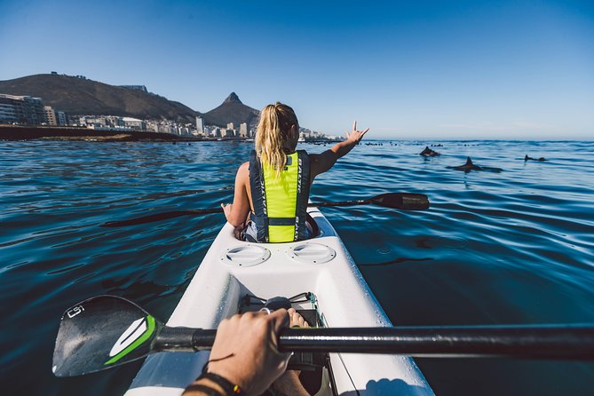 Atlantic Outlook Kayak Tour Cape Town - Starting at the V&A Waterfront