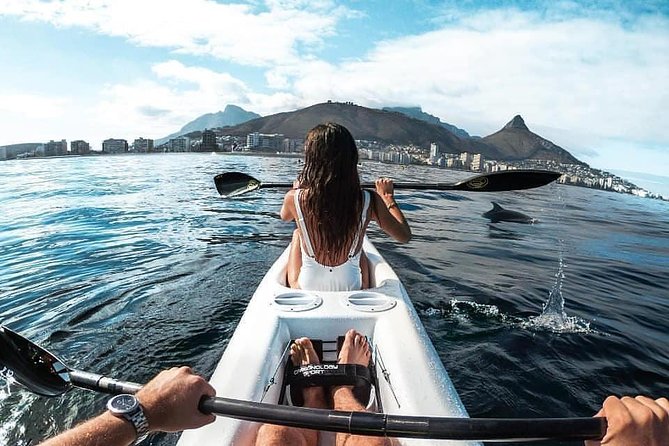 Atlantic Outlook Kayak Tour Cape Town - Why an early morning slot may be the smart choice