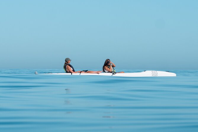 Atlantic Outlook Kayak Tour Cape Town - Weather, safety, and rescheduling