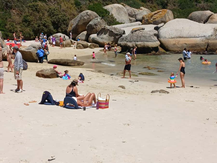 Beach Day at Boulder's Beach & Penguin watching, Half Day - Key points to know before booking