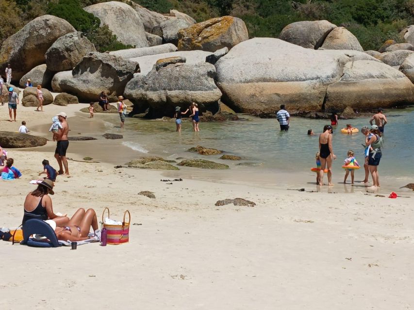 Beach Day at Boulder's Beach & Penguin watching, Half Day - Who should book this Cape Peninsula morning?