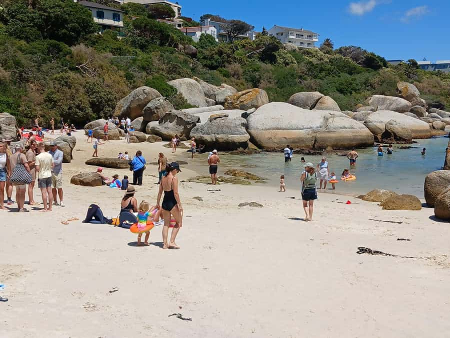 Beach Day at Boulder's Beach & Penguin watching, Half Day - Driving past Llandudno and Hout Bay