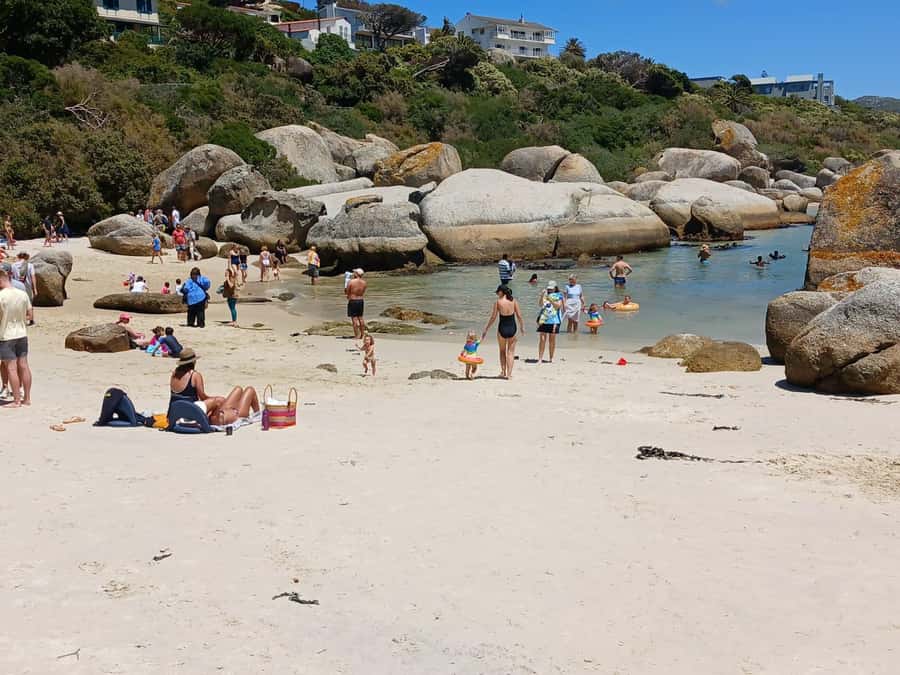 Beach Day at Boulder's Beach & Penguin watching, Half Day - Chapman’s Peak, the great road set above the sea