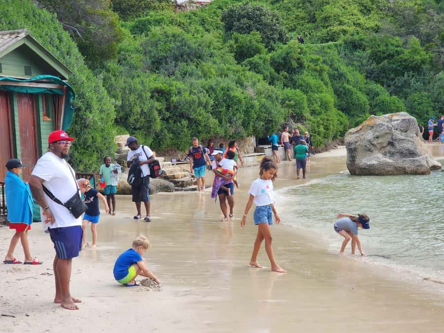 Beach Day at Boulder's Beach & Penguin watching, Half Day - Two hours with the penguins at Boulders Beach