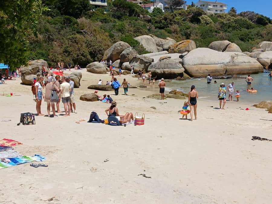 Beach Day at Boulder's Beach & Penguin watching, Half Day - Transport, guides, and the pace of the day