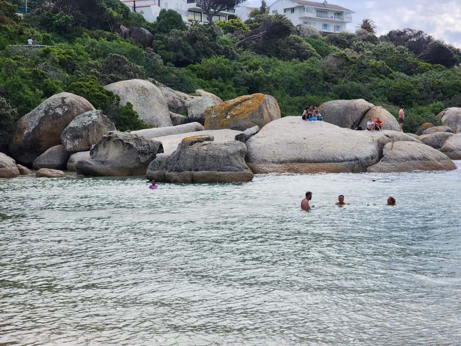 Beach Day at Boulder's Beach & Penguin watching, Half Day - What the $36 price really gives you