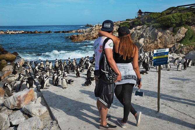 Best of Cape Town Full-Day Private Tour with Table Mountain - Wine country adds a slower note