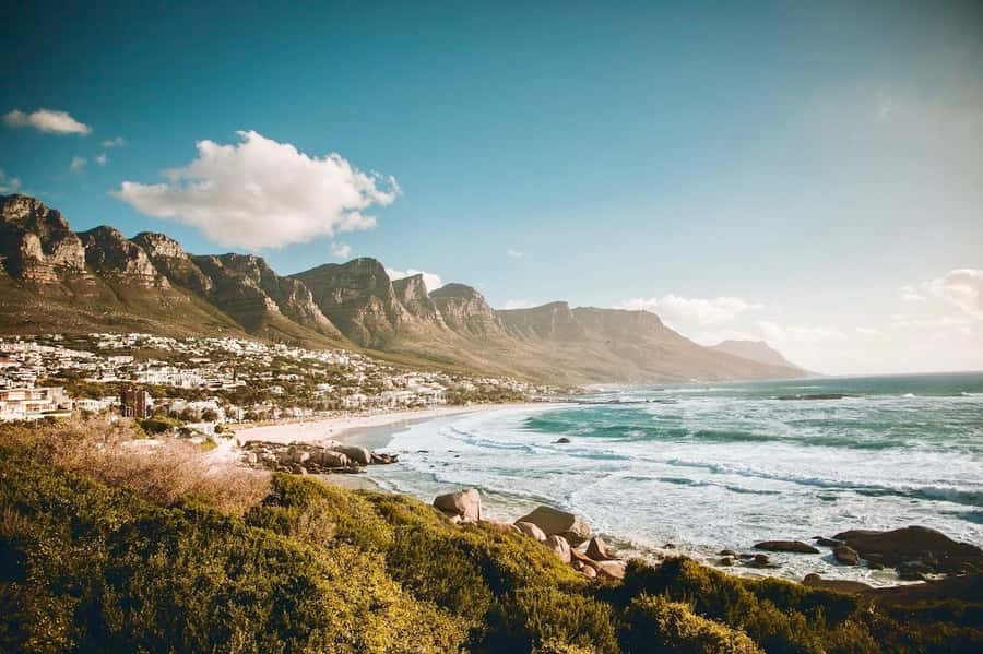 Best of the Cape Peninsula & Wine Route with Wine Tasting - Simon’s Town, False Bay, and the optional penguins