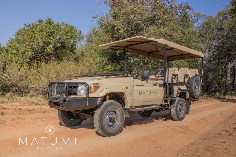 Big 5 Safari Am or Pm - Key points at a glance