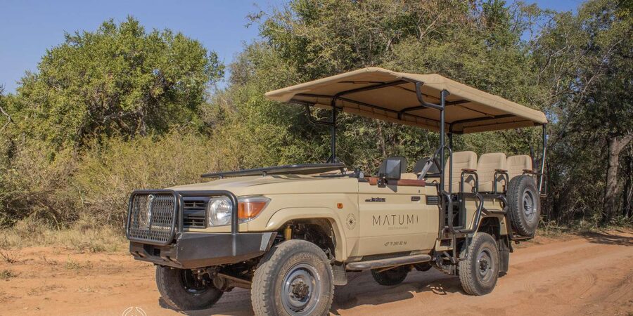 Big 5 Safari Am or Pm - Birds and the smaller details