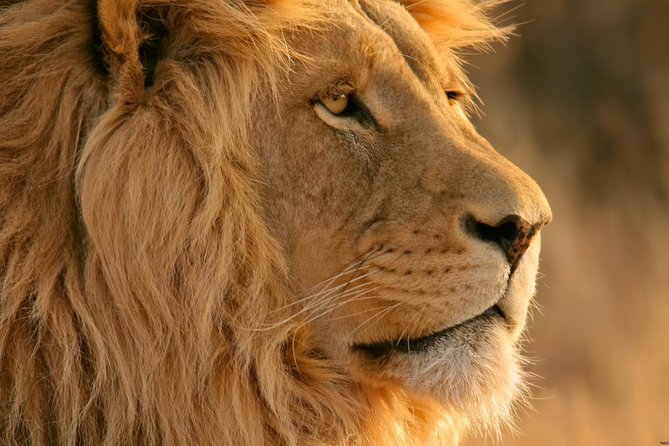 Big Five Safari and Breede River Valley Guided Day Trip - Du Toitskloof Pass and the first mountain views