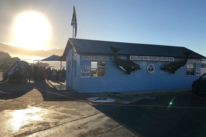Boat Based Whale Watching from Hermanus - Whale Season Requires Careful Planning