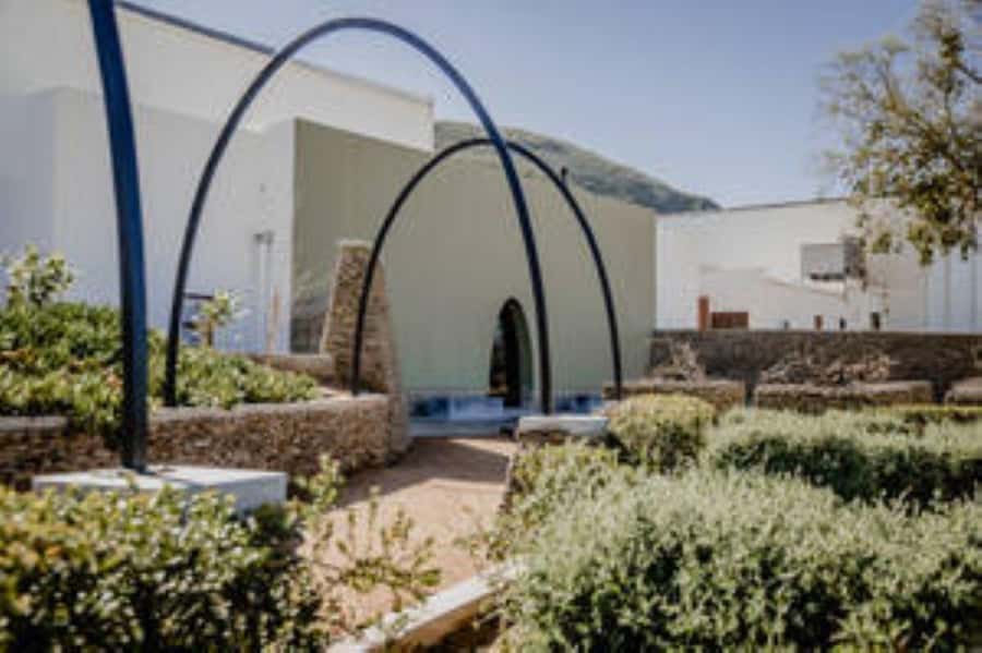 Bonnievale : Captivated By Chardonnay - Calcrete Chardonnay at 14h30