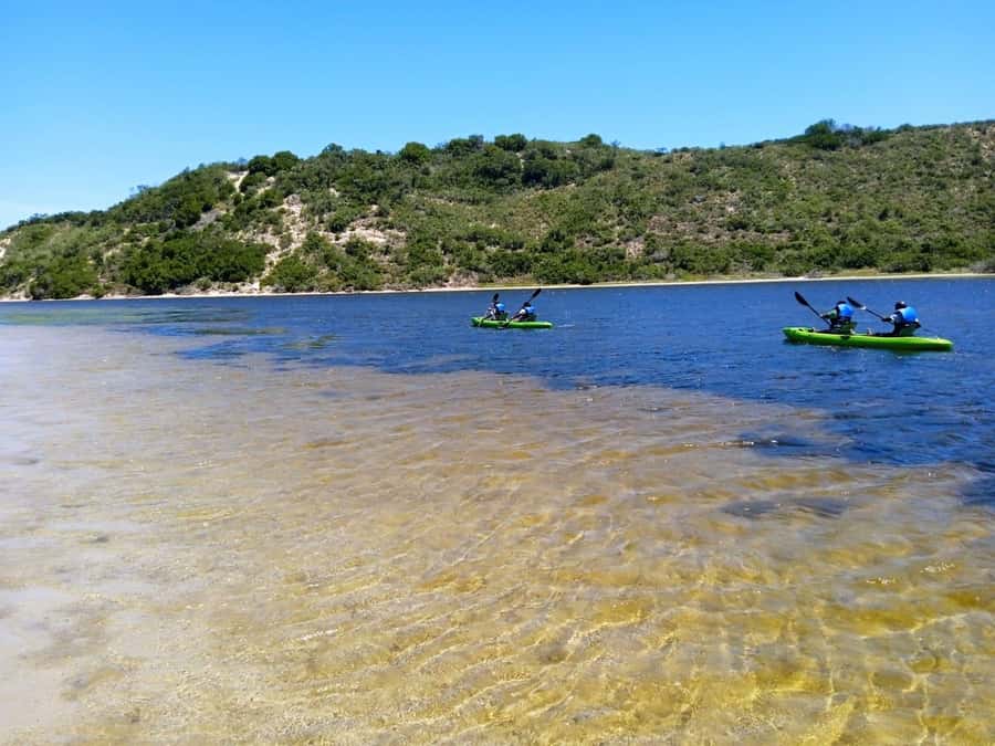 CANOEING IN SEDGEFIELD AT OYSTERS EDGE, GARDEN ROUTE - Should you book canoeing at Oysters Edge?