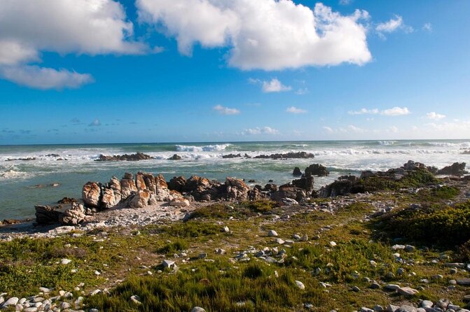 Cape Agulhas Full Day Private Tour - Key points at a glance