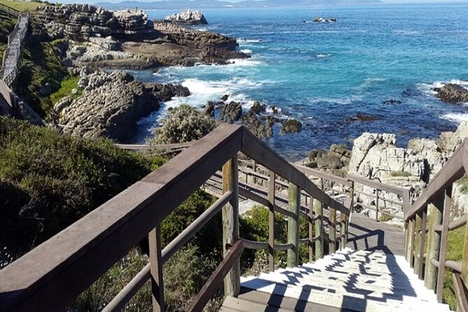 Cape Agulhas Full Day Private Tour - Cape Agulhas: the southernmost point and ocean view
