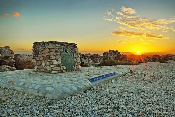 Cape Agulhas Full Day Private Tour - African penguins add a wildlife stop