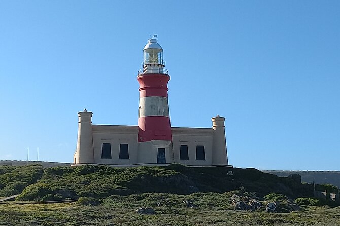 Cape Agulhas Full Day Private Tour - Hermanus and seasonal whale watching