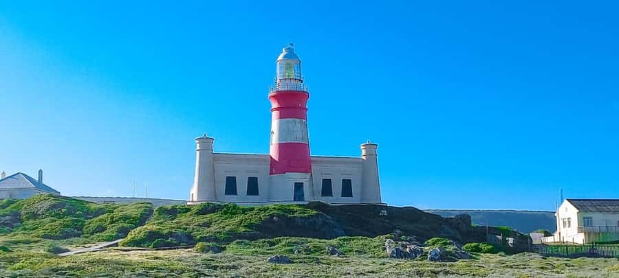 Cape Agulhas Full Day Private Tour - What the private guide adds
