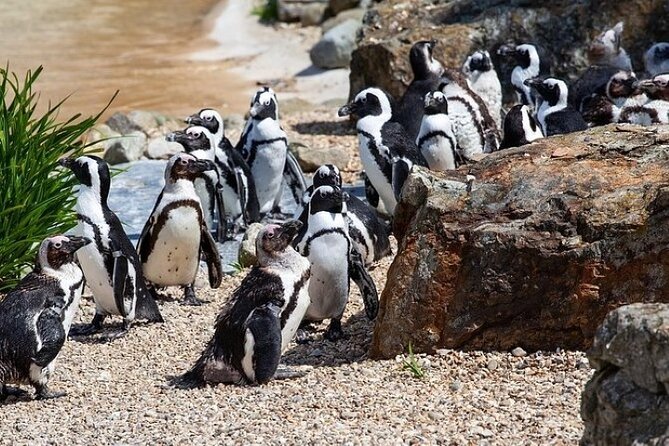 Cape Agulhas Full Day Private Tour - Leaving Cape Town for the southern coast