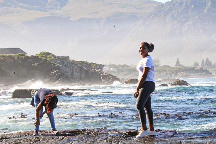 Cape Agulhas, Hermanus & Stoney point Penguins full Day Tour - Hemel en Aarde’s cool-climate wines
