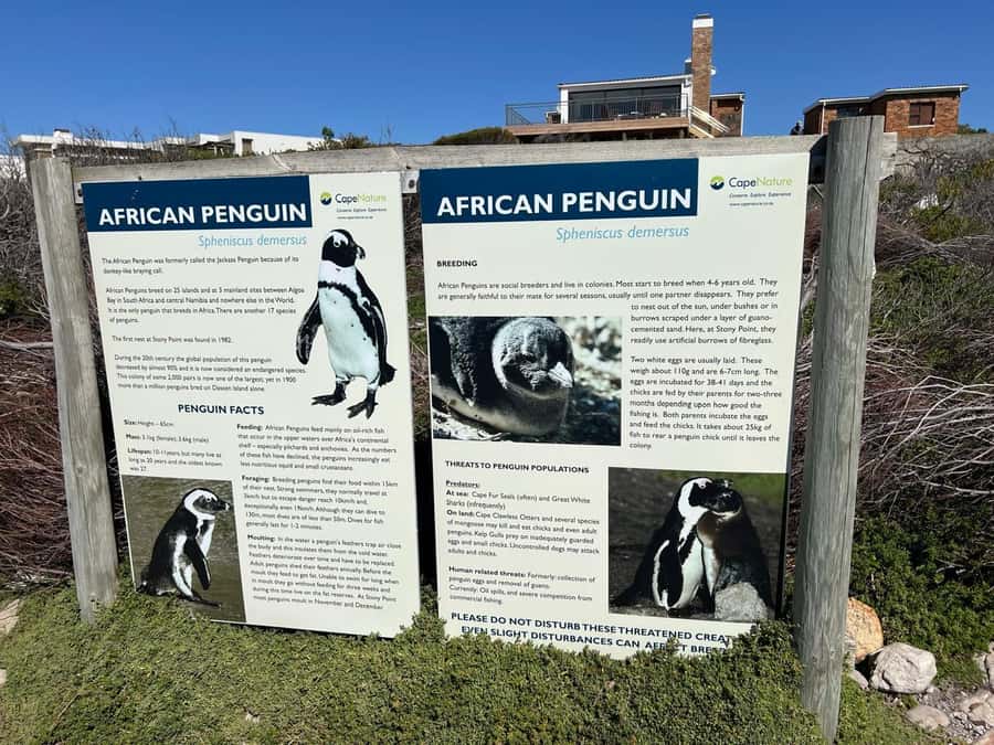 Cape Agulhas, Hermanus whales & Wine Tasting Day Trip - What to pack for Cape Agulhas and Hermanus