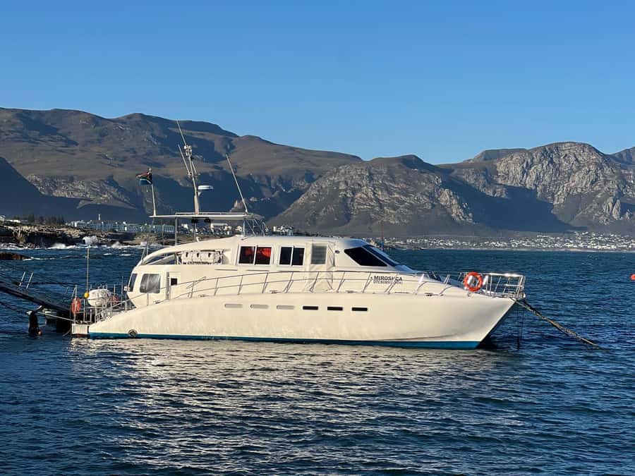Cape Agulhas, Hermanus whales & Wine Tasting Day Trip - Hermanus and the chance to see Southern Right Whales