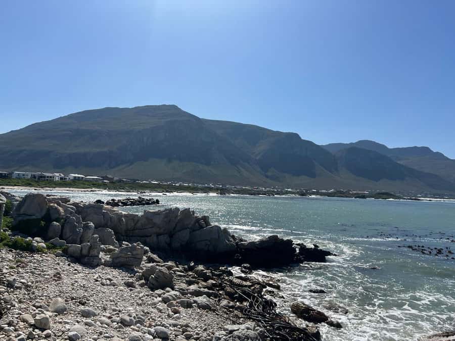 Cape Agulhas, Hermanus whales & Wine Tasting Day Trip - Stellenbosch wine and cheese after a long road day